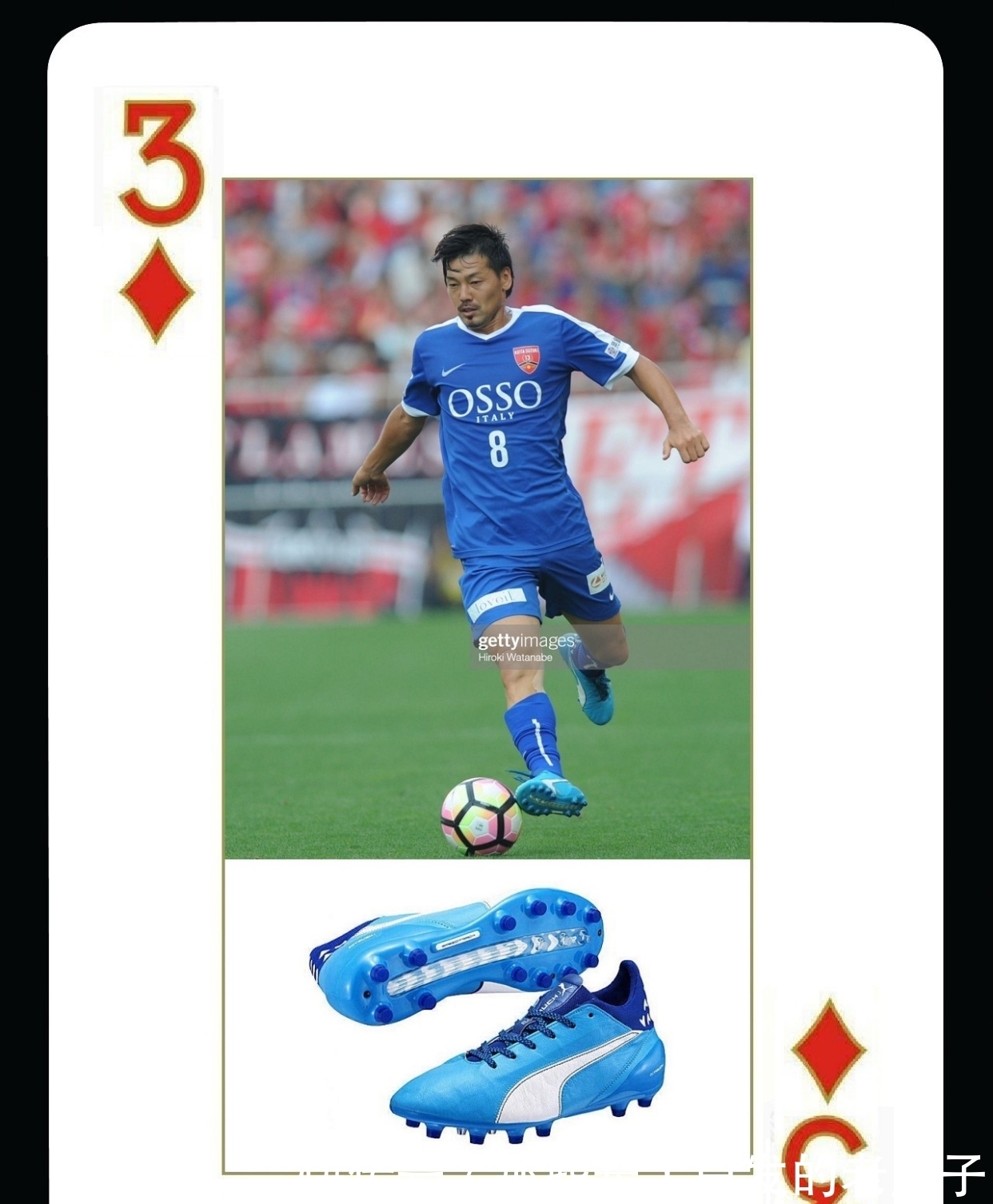 葵花籽脱蜡生产线