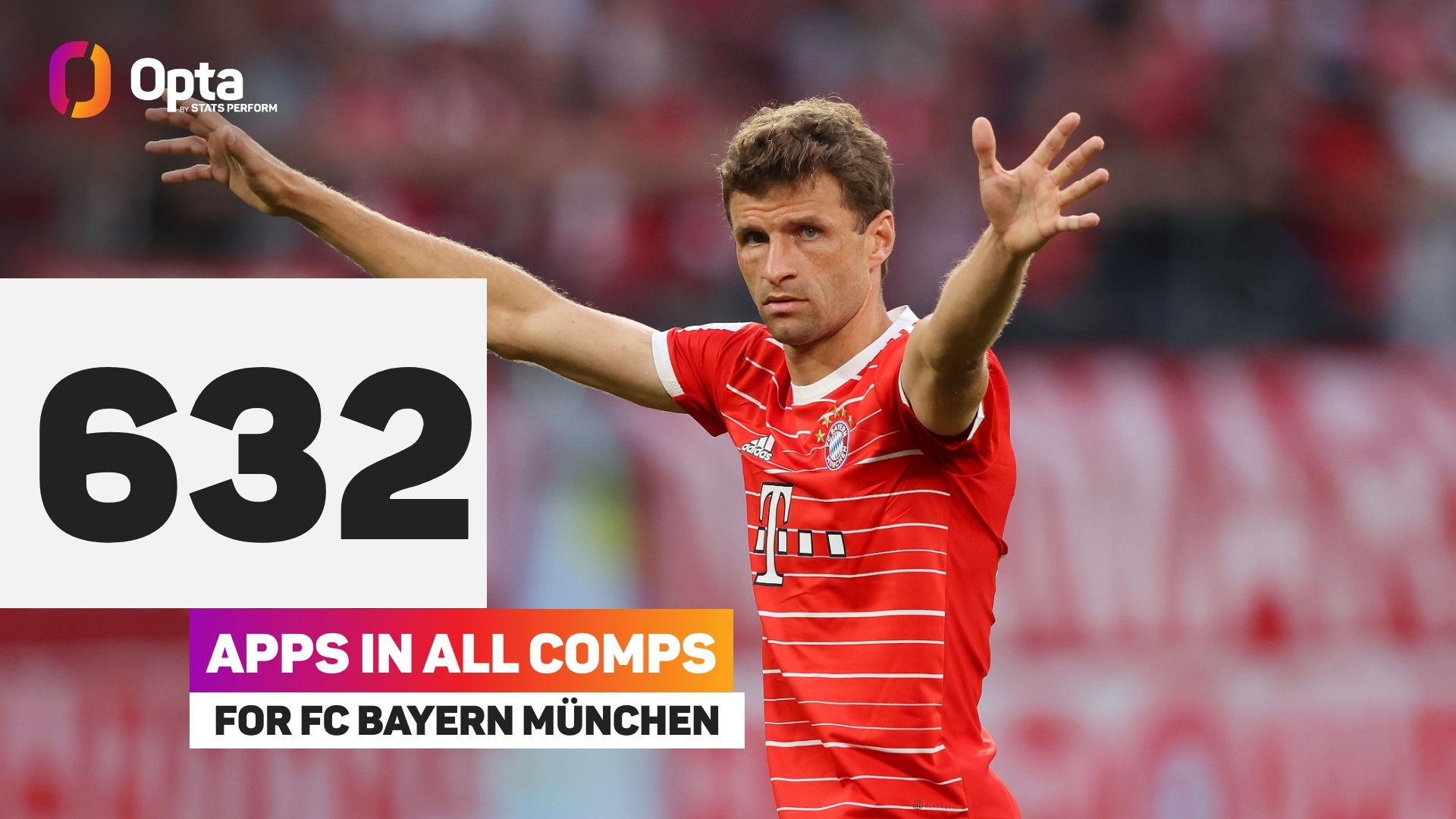 炉膛一体动物油熬练直烧锅