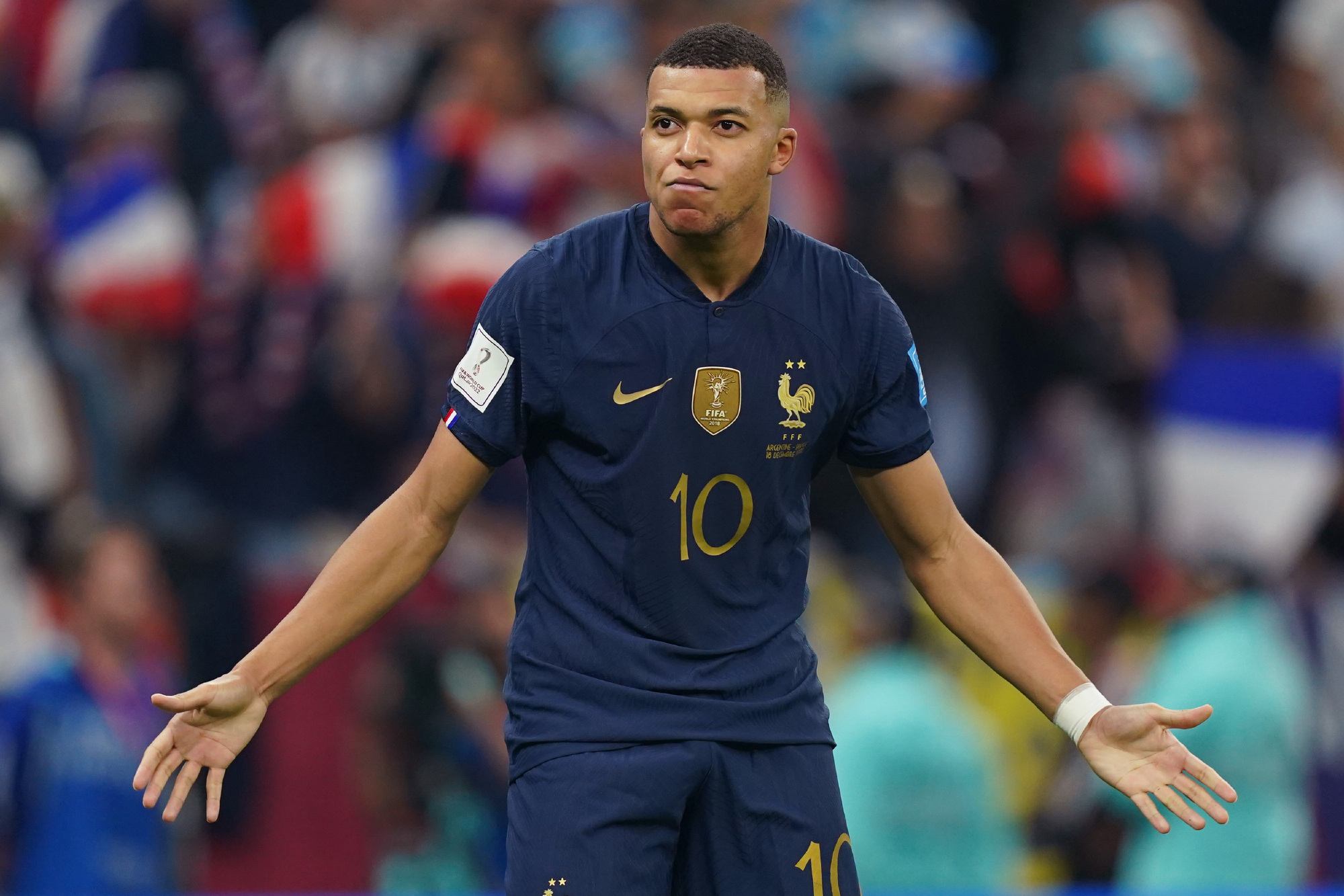 炉膛一体动物油熬练直烧锅