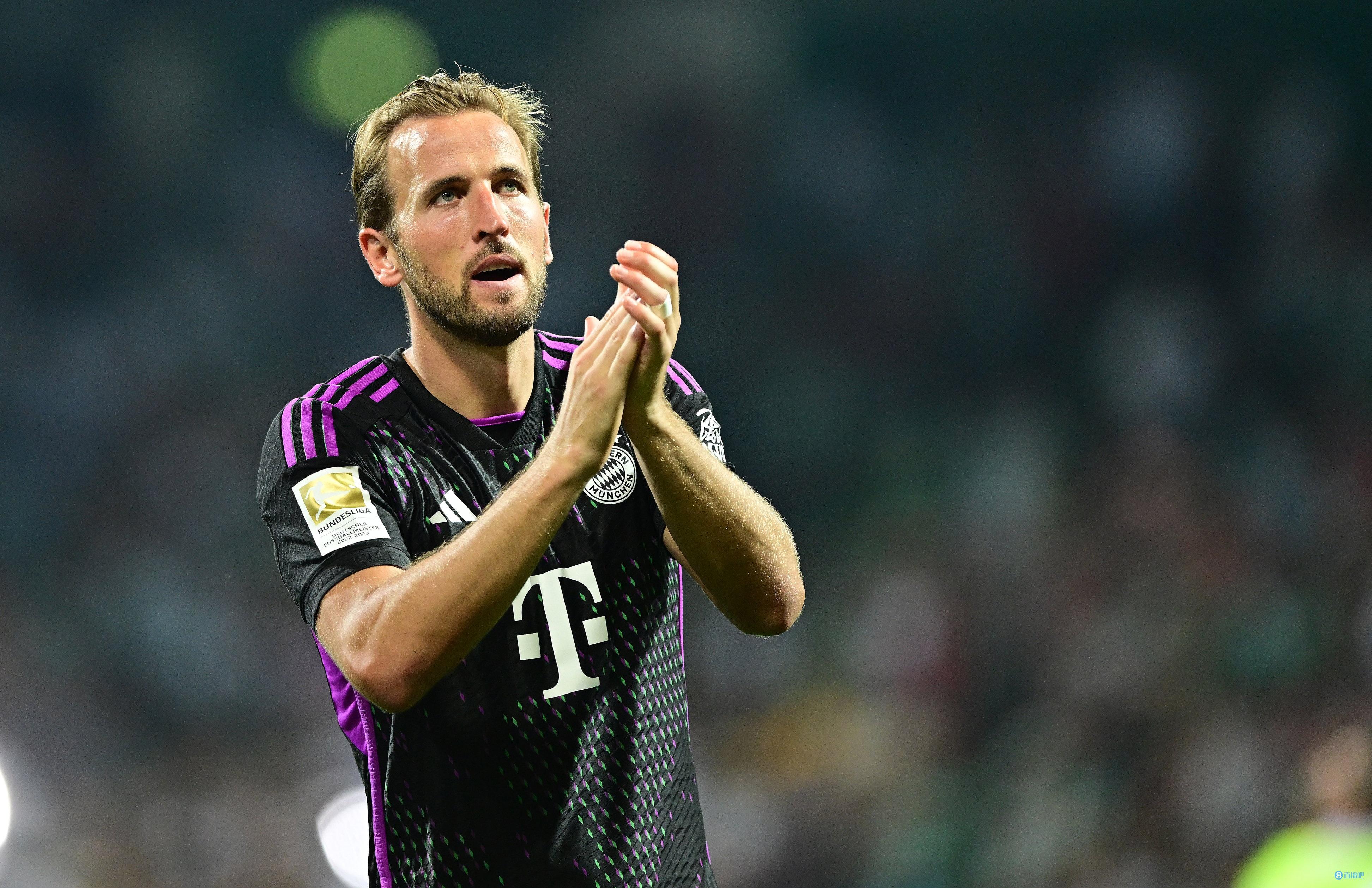 小规模的茶籽油生产线